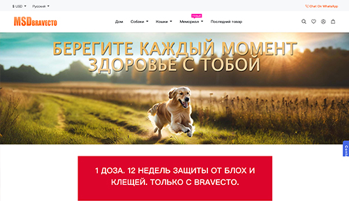 BeikeShop Case Study - Russian Pet Supplies Online Store for Cross-border Trade